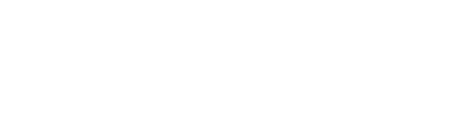 audienceview logo